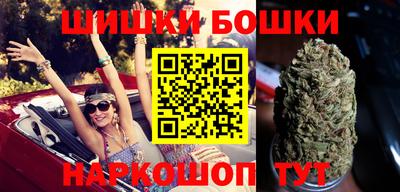 крисы Обь
