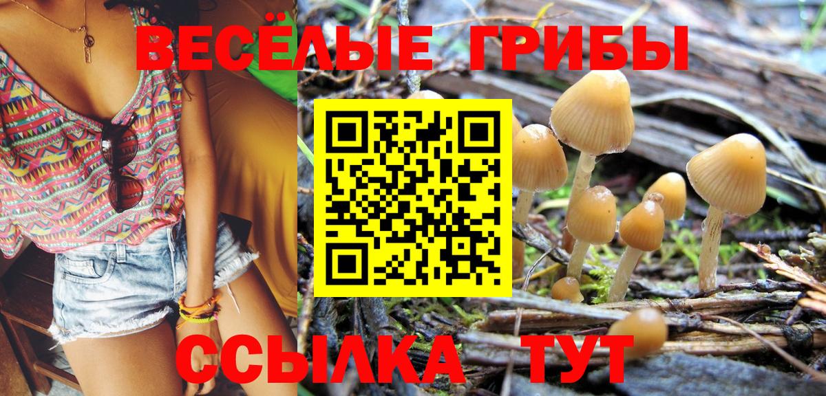 Псилоцибиновые грибы Psilocybe  Псилоцибиновые грибы GOLDEN TEACHER  Усолье-Сибирское  Вход с VPN 